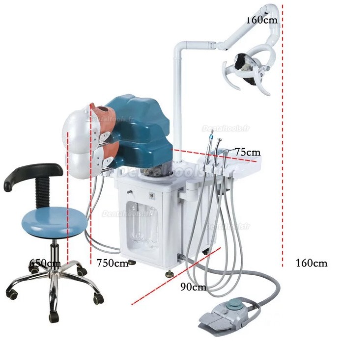 Simulateur chirurgie pour soins dentaire unité de simulation formation dentaire typodont compatible avec Nissin Kilgore/Frasaco